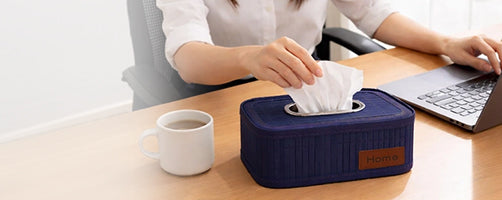 Low Price, High Style: Best Premium Tissue Holder Under 299