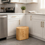 Portable Plastic Dustbin For Home And Kitchen (  28x14.5x29 cm, Beige )