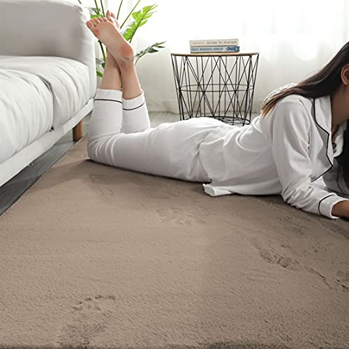Rabbit Fur Soild Carpet (Taupe, 3x5 Feet)