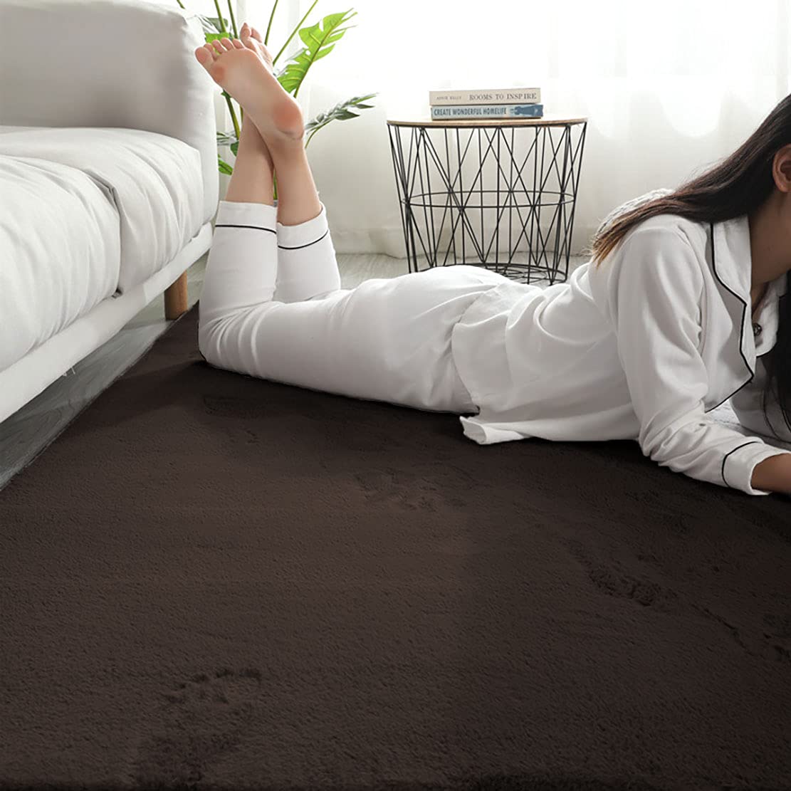 Rabbit Fur Super Soft Carpet (Chocolate, 4x6 Feet)