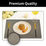 Placemat for Dining Table Set of 6(30x45 CM Brown)