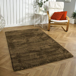 Newman Carpet For Bedroom (4X6 Feet, Coffee)