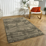 Newman Carpet For Bedroom (4X6 Feet, Taupe)